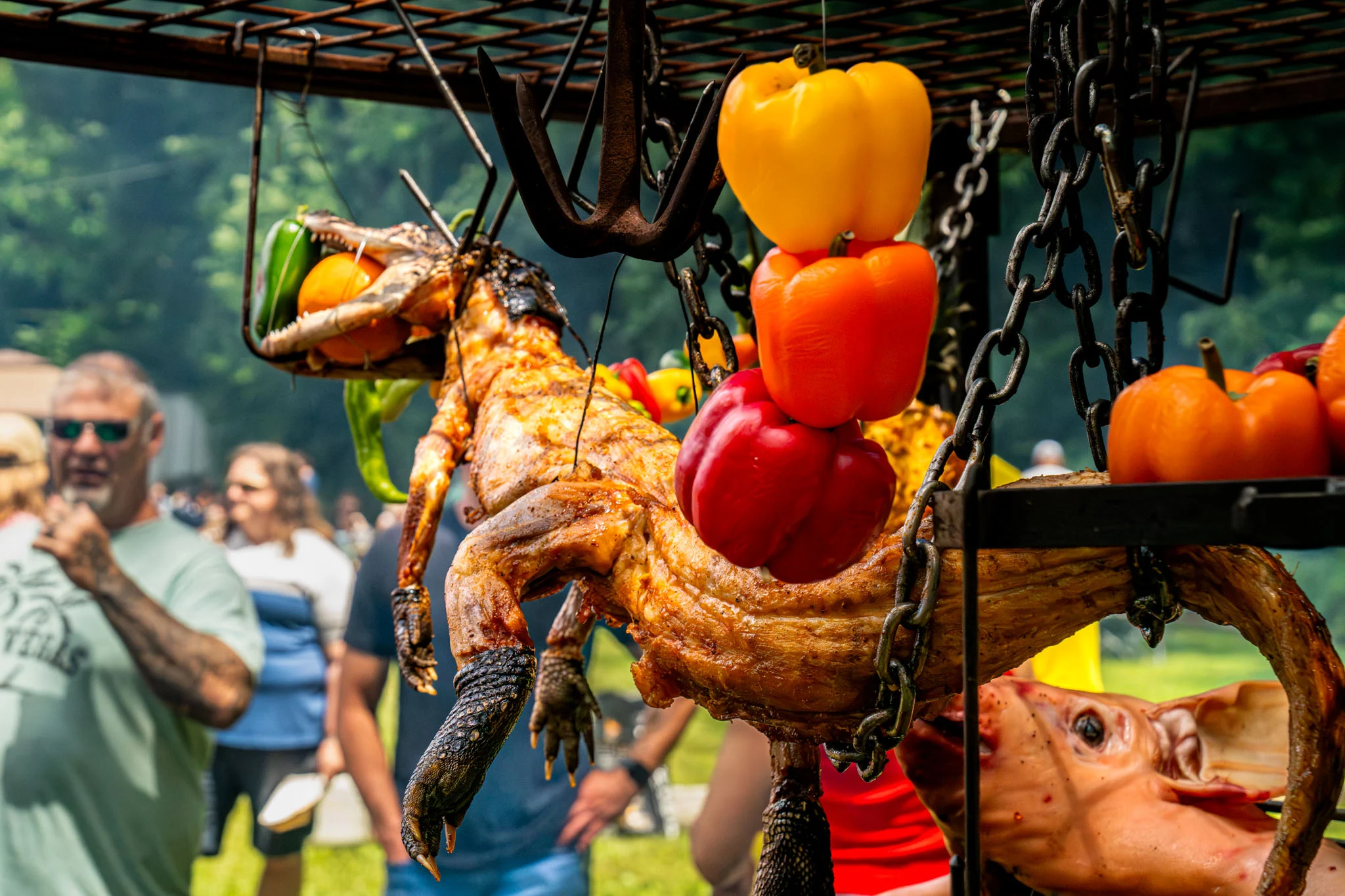 A roasted alligator hangs with colorful peppers as people gather at an outdoor cooking event.