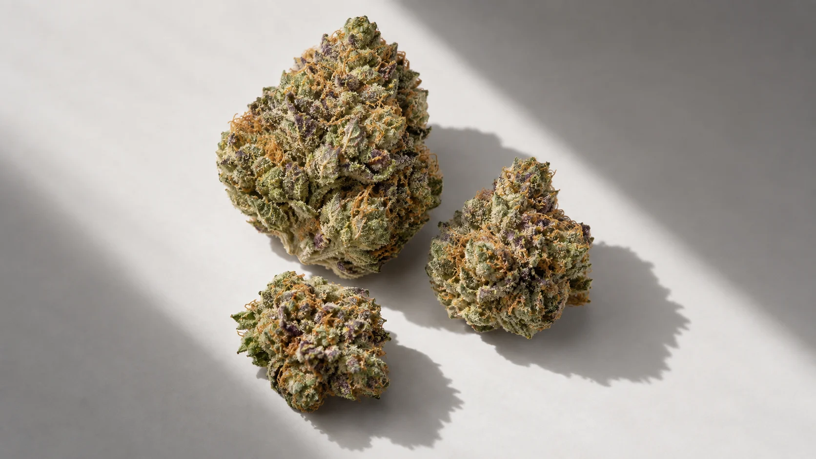 Three cannabis buds cast crisp shadows across a softly lit pale surface.
