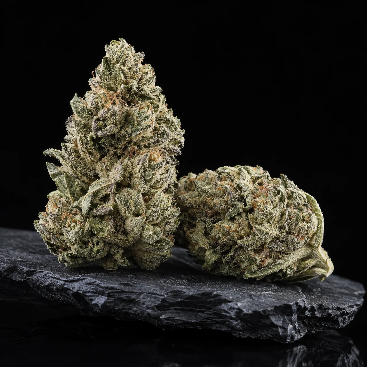 Two dense cannabis buds rest on black slate against a dark studio background.